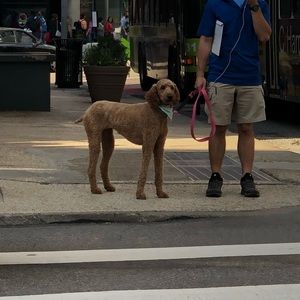 Meet your Posher, Emily